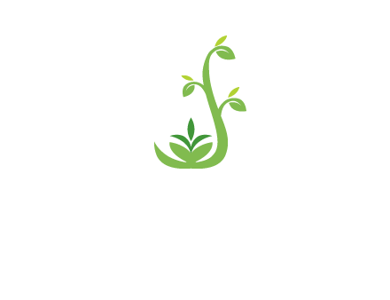 creeper plant branch illustration
