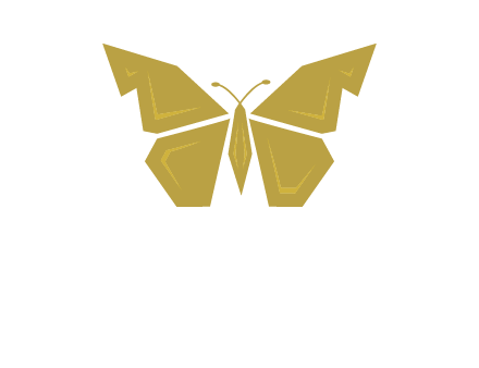 geometric butterfly icon