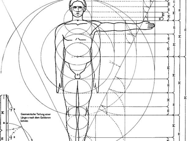 human body symmetry