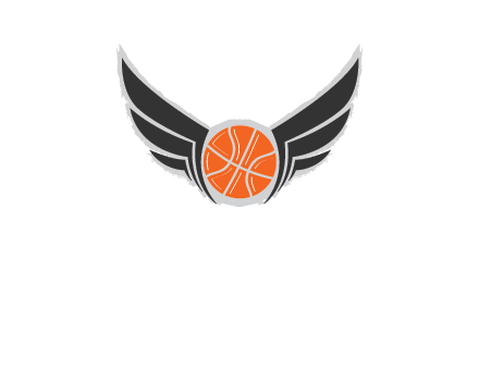 basketball with wings logo