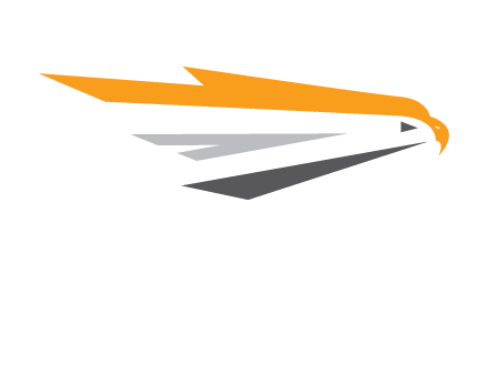 hawk face logo