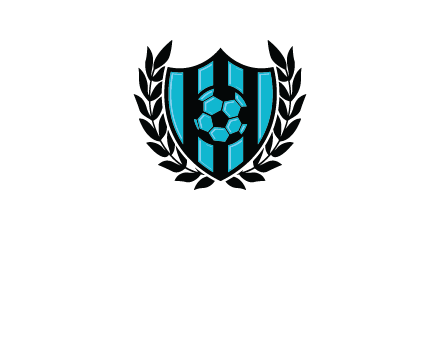 shield in football team logo