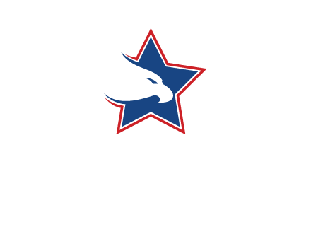 eagle head in star logo