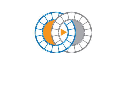 circles of film reel entwined with a play button