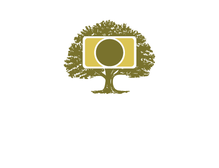 rectangle camera and tree photography logo