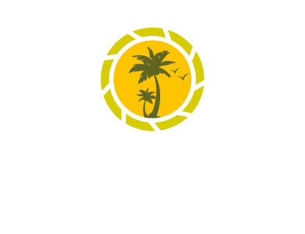 palm trees in sun shutter photography logo