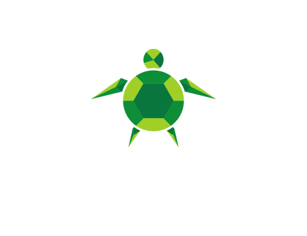 gems and jewels placed in the shape of a turtle