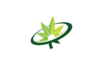 marijuana leaf in swoosh leaf