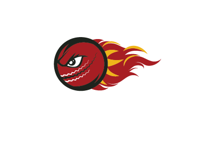 cricket ball with angry face on flames