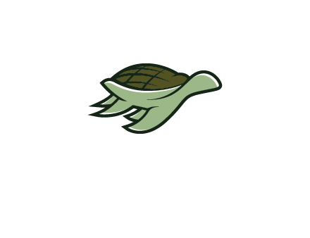 line art abstract turtle