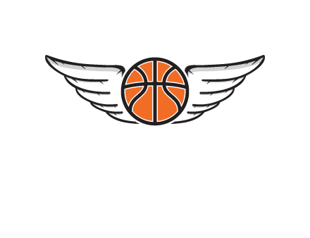 wings behind basketball