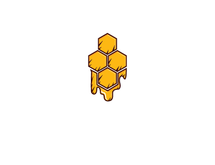 honeycomb with honey