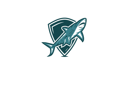 shield behind shark