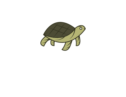 abstract turtle