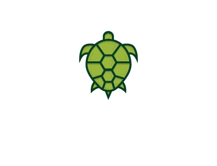 top view of turtle