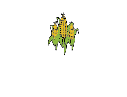 corn on cobs agriculture graphic