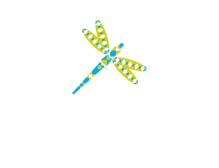 jewelry with dragonfly graphics