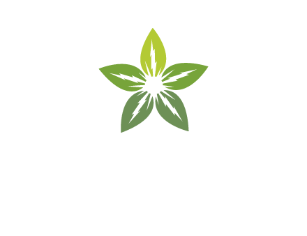 leaves star logo