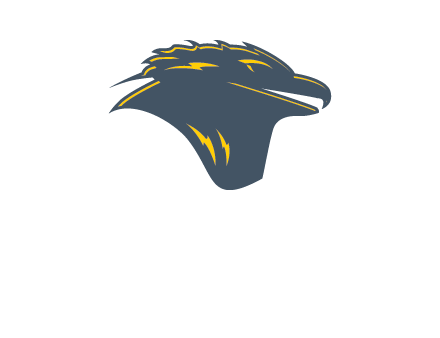 side profile hawk logo