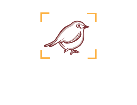 sparrow inside camera focus logo