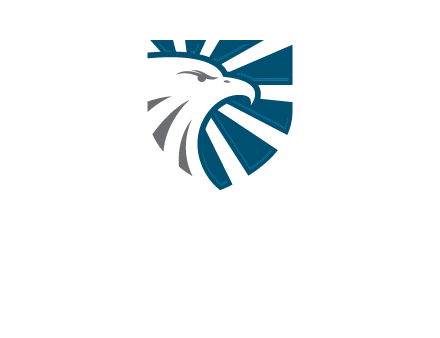 eagle face in shield logo