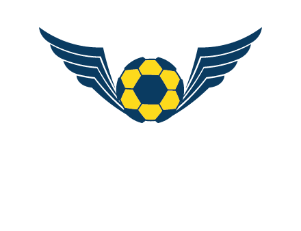 soccer ball with wings logo