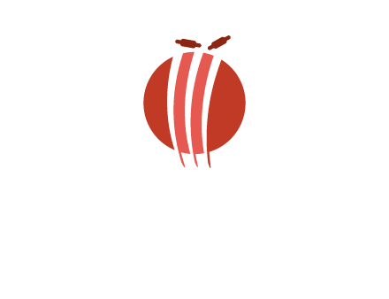 wicket on ball sports logo